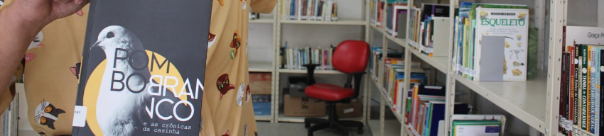 Lançamento do Livro Pombo Branco e as Crônicas da Casinha