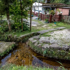 Nascentes Paranapiacaba - Foto - Beto Garavello_PSA (1)