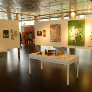 Salão de Arte Contemporânea Luiz Sacilotto - Foto - Eduardo Merlino_PSA (1) (002)
