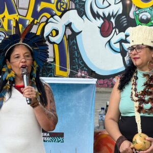 Encontro_de_Mulheres_Indígenas_Foto_Divulgação (4)