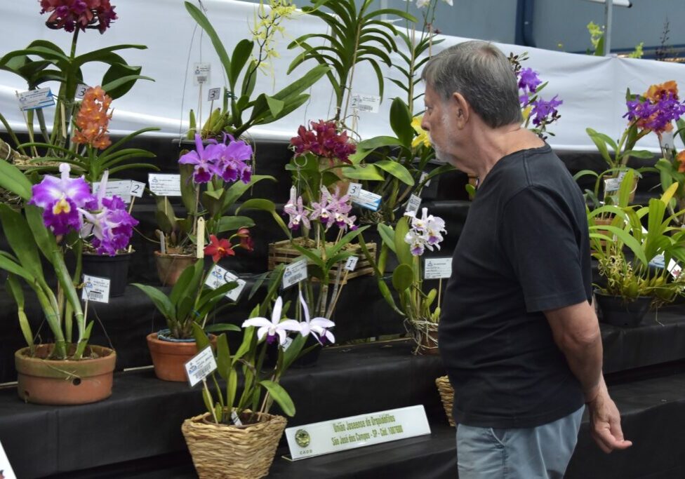 Festival de Flores de Santo André - Foto - Eduardo Merlino_PSA (1)