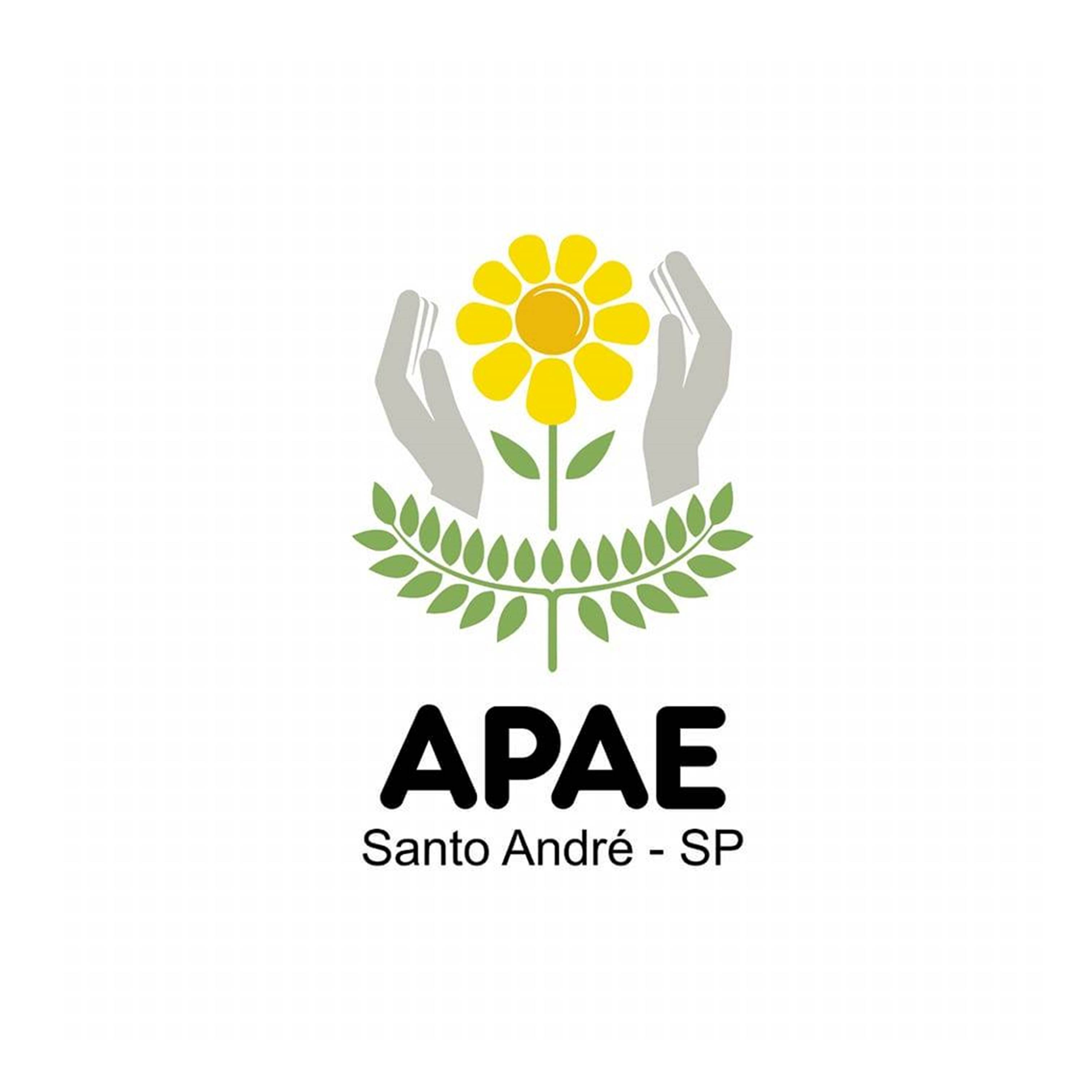 Associação de Pais e Amigos dos Excepcionais de Santo André - APAE