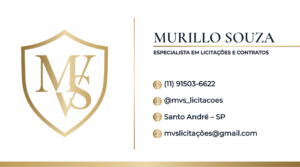 CARTA╠âO VISITAS-02 - Murillo Paulo