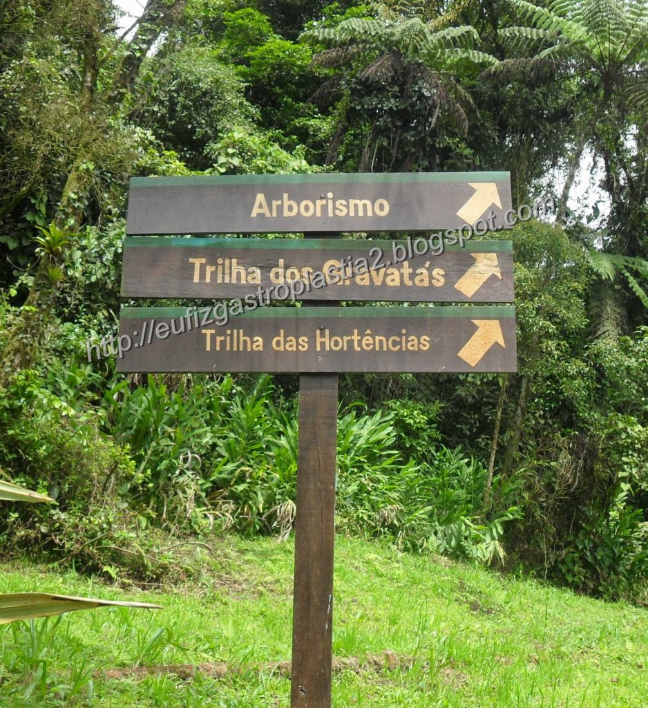 Turismo Ecológico – Trilhas Na Mata Atlântica – Turismo Santo André